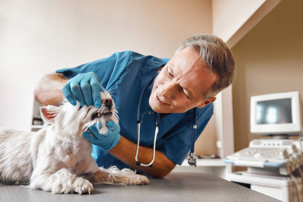 Best Cracked Tooth Emergency Dentist  in Yeagertown, PA